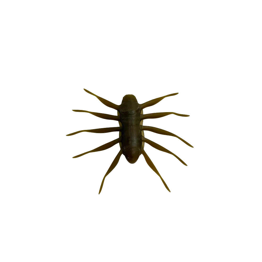 Miniatura 1
